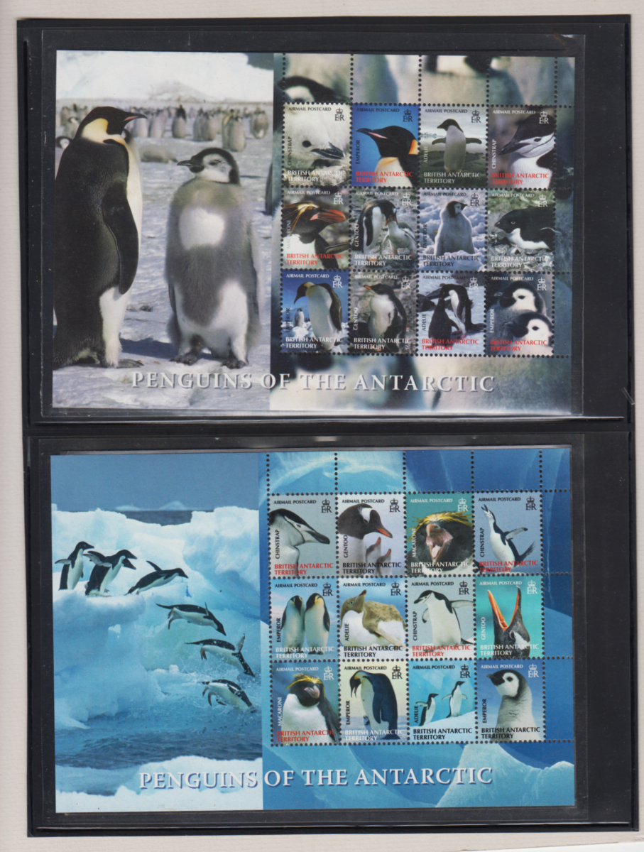 PINGUINOS 001